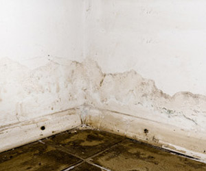 Basement Leaks