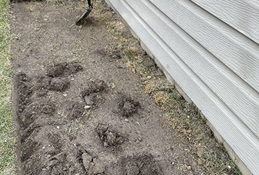 Landscaping