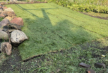 Lawn Care