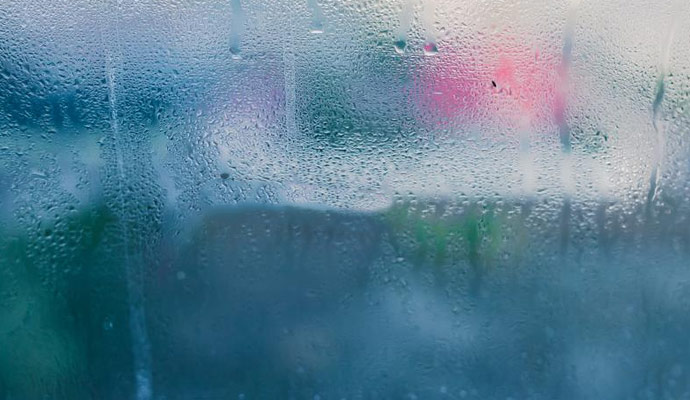 Moisture Control & Mold Prevention