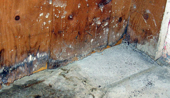 Moisture Control Services