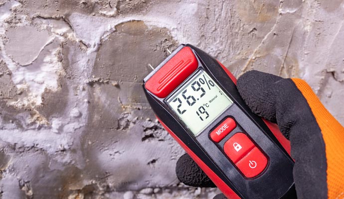 Professional Moisture Control Services for Basement