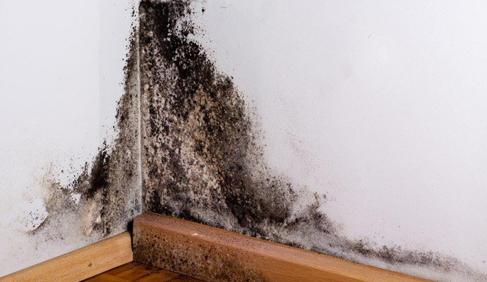 Basement Finishing FAQ’s