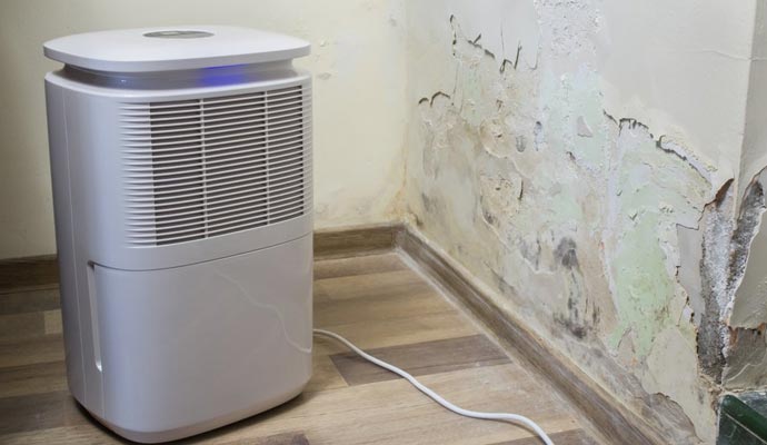 Portable Dehumidifiers