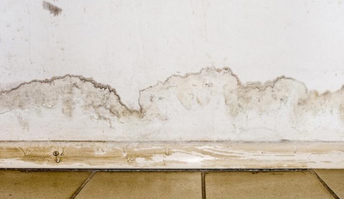Walls & Floors Leak